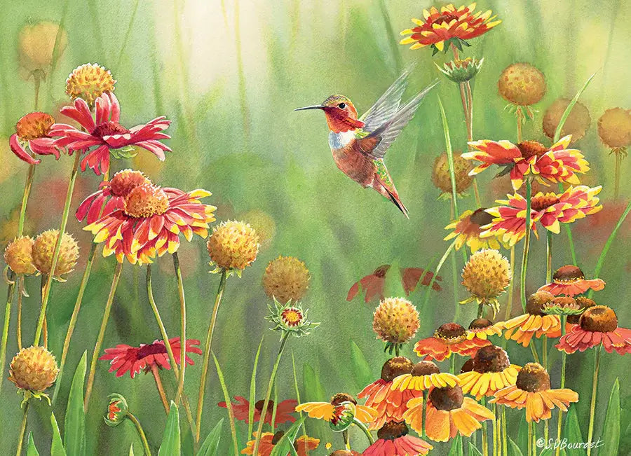 Colibri Rufous Rompecabezas 500 Piezas Cobble Hill