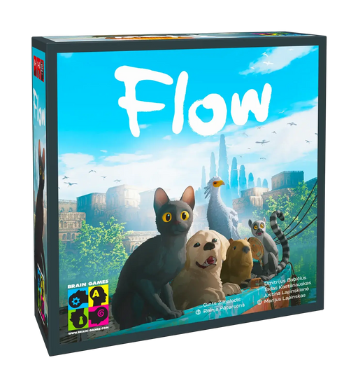 Flow Juego de Mesa Brain Games