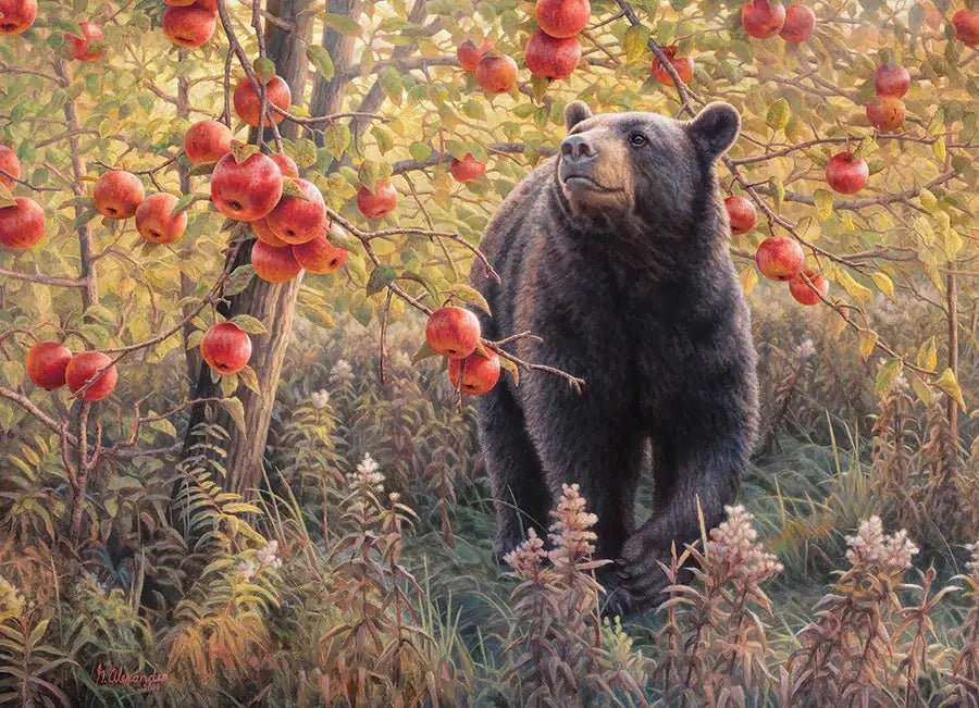 Oso en el Bosque Rompecabezas 500 Piezas Cobble Hill