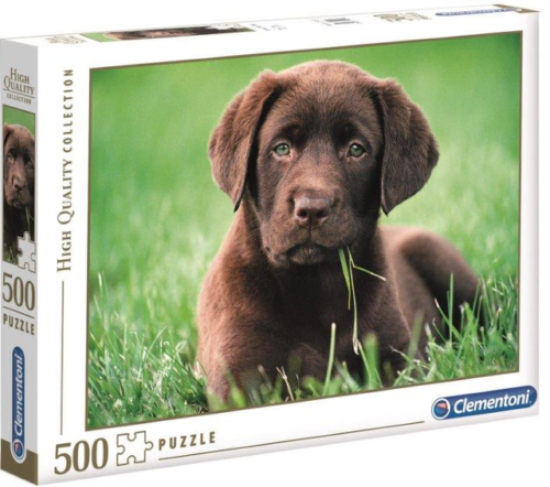 Cachorro Chocolate