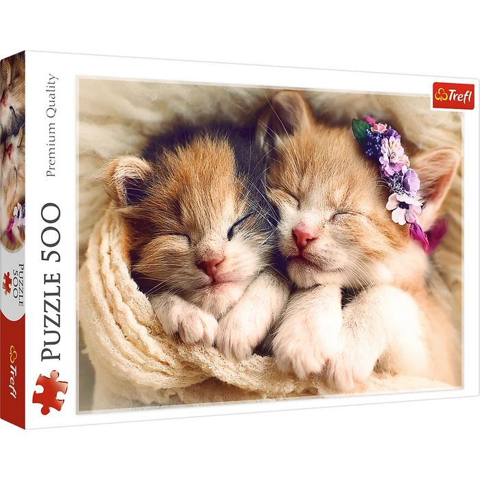 Gatitos Durmiendo - Rompecabezas 500 Piezas