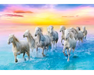 Caballos Galopando Rompecabezas 500 piezas Trefl