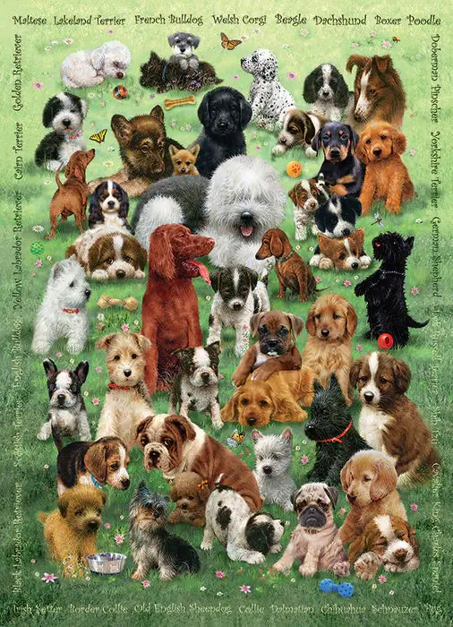 Cachorros Amor Canino Rompecabezas 350 Piezas Cobble Hill