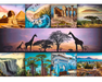 Collage Lugares de Africa Rompecabezas 1000 Piezas Trefl 