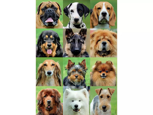 Collage de perros rompecabezas