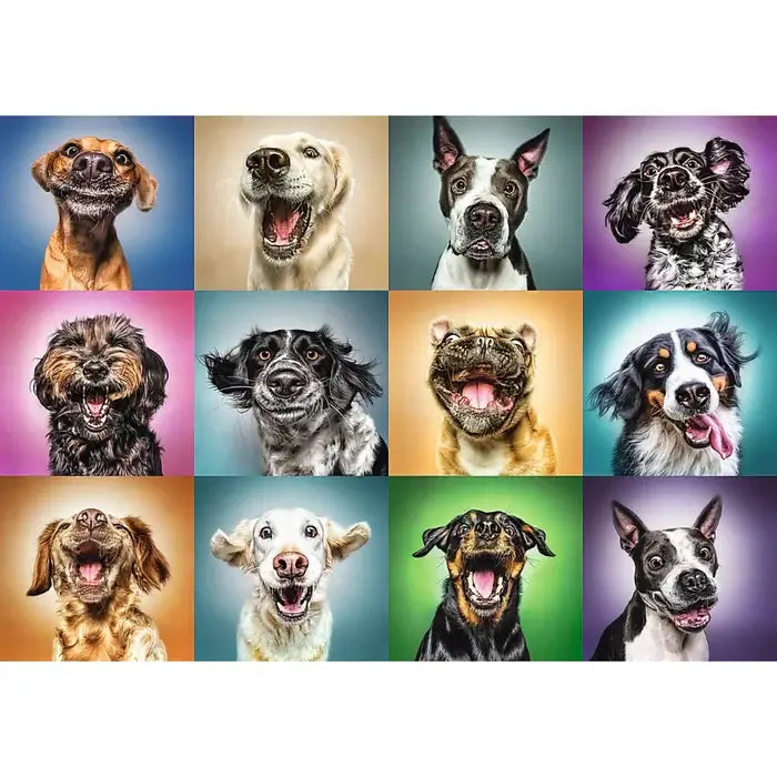 Fotos chistosas de perros Rompecabezas 1000 Piezas Trefl 