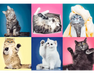 Gatos Rompecabezas 500 Piezas Trefl 