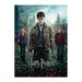 Harry Potter RC Rompecabezas 1000 piezas Novelty