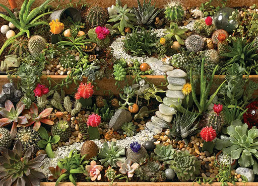 Jardin de Suculentas Rompecabezas 1000 Piezas Cobble Hill