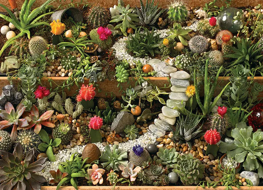 Jardin de Suculentas Rompecabezas 1000 Piezas Cobble Hill