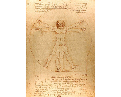 Leonardo Da Vinci Hombre de Vitruvio Rompecabezas Enjoy 1000 Piezas