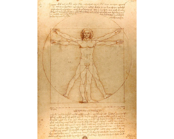 Leonardo Da Vinci Hombre de Vitruvio Rompecabezas Enjoy 1000 Piezas