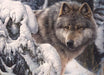 Lobo Líder del Norte Rompecabezas 1000 Piezas Cobble Hill 
