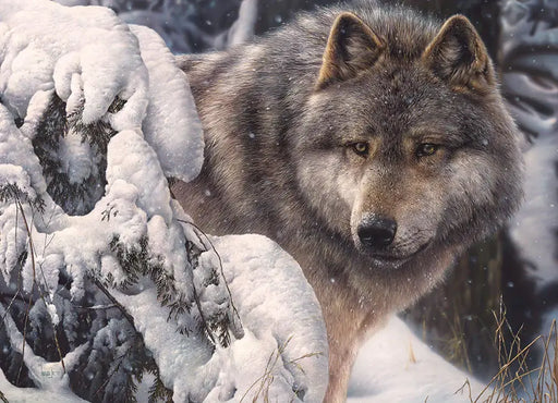 Lobo Líder del Norte Rompecabezas 1000 Piezas Cobble Hill 