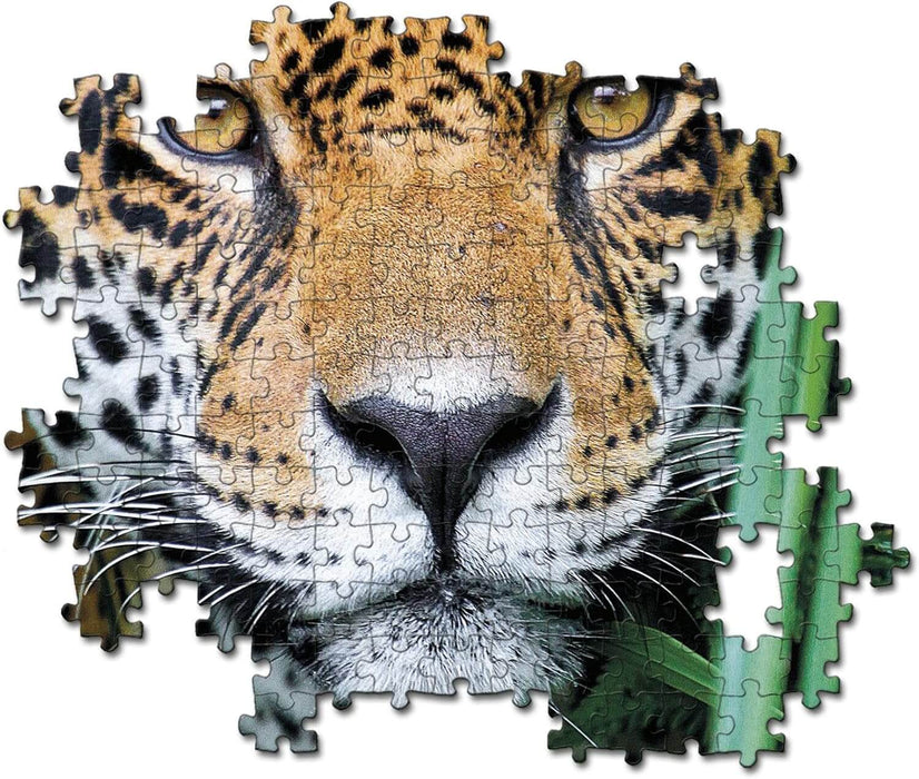 Mirada de Jaguar en la Selva Rompecabezas 500 Piezas 