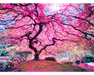 Moises Levy - Árbol Rosa: Rompecabezas de 1000 piezas Anatolian
