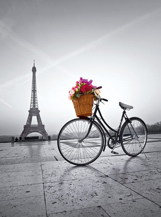 Paseo Romántico en París Rompecabezas 500 piezas Clementoni 