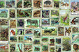 Sellos de los animales Rompecabezas 3000 Piezas Ravensburger 