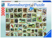 Sellos de los animales Rompecabezas 3000 Piezas Ravensburger 