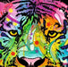 Tigre, Jolly Pets Rompecabezas 1000 Piezas Heye