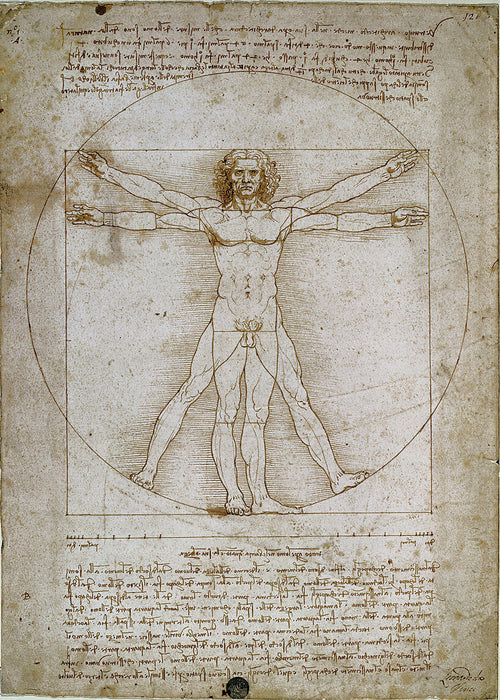 Vitruvian Man Rompecabezas Miniatura 1000 Piezas Tomax