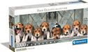 Beagles Panoramico - Rompecabezas 1000 piezas Compact Pro
