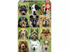 Collage de perros rompecabezas 500 piezas Educa