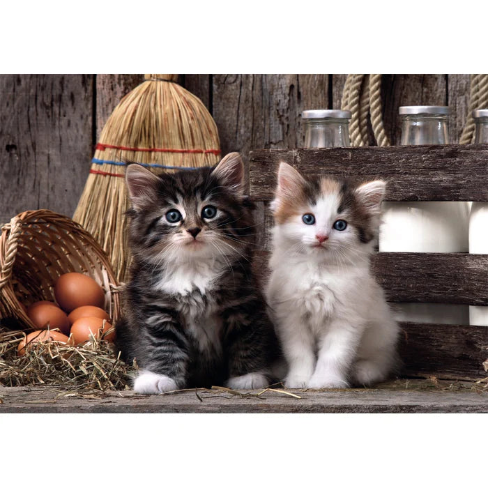 Gatitos adorables - Rompecabezas 1000 piezas Clementoni Compact Pro