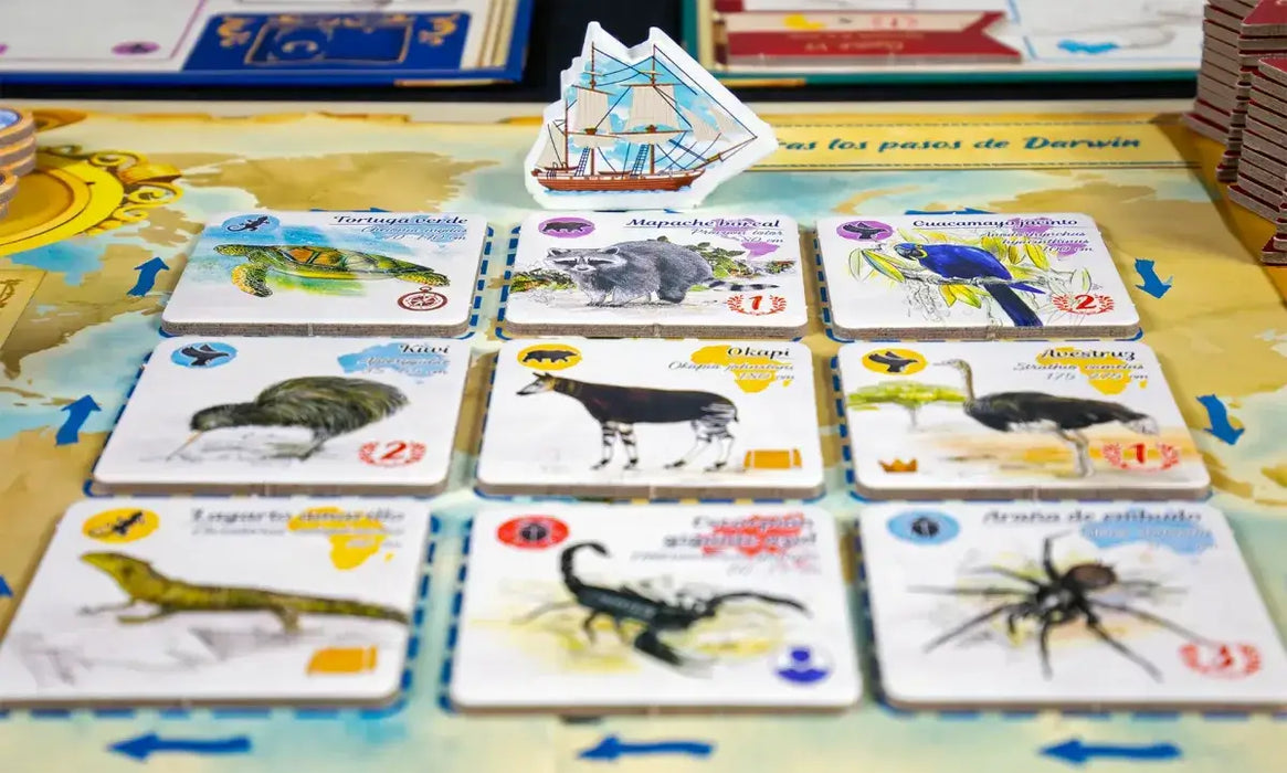 tras los pasos de darwin Juego de Mesa Mar lúdico