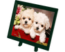 Rompecabezas de Perritos 150 piezas miniatura marca Pintoo