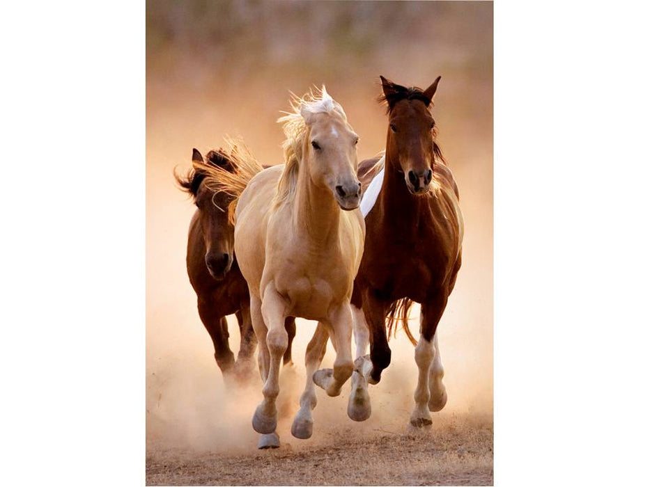 Caballos Galopando - Rompecabezas de 1000 Piezas