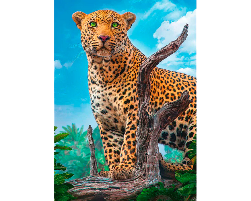 Leopardo Salvaje