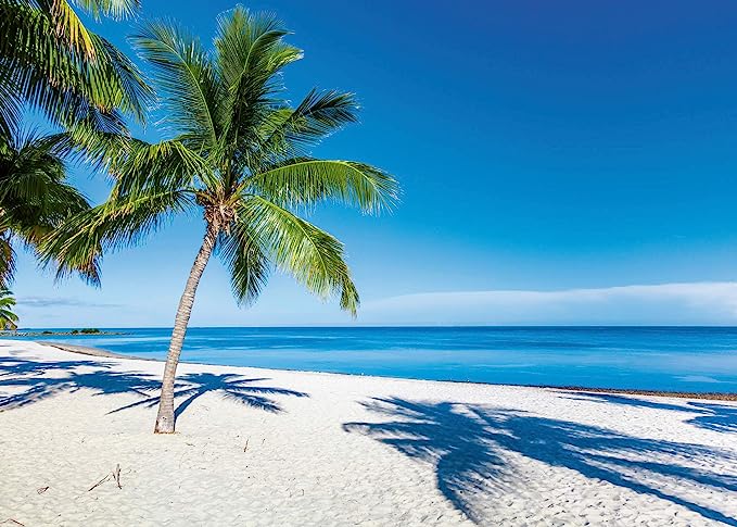 Paisaje de Playa - Rompecabezas 1000 Piezas