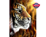 Tigre Rompecabezas 1000 piezas Anatolian